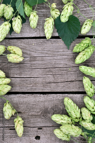 Hop twigs frame over wooden cracked table background. Vintage toned. Beer ingredients. Beautiful fresh-picked whole hops with green leaves border design close-up.