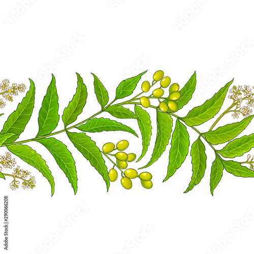 neem vector pattern