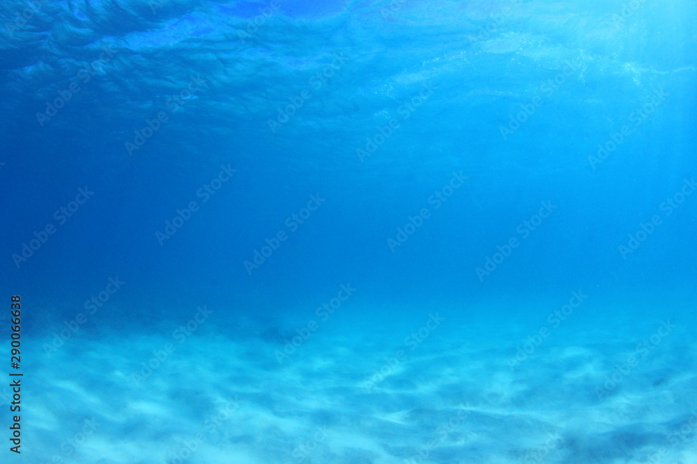 Obraz premium Blue underwater background photo of sea and sand