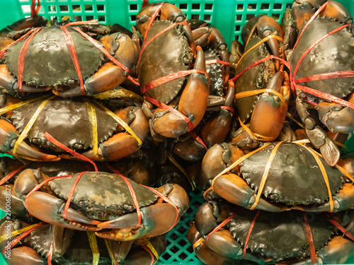 Live crab at the seafood and fish market photo