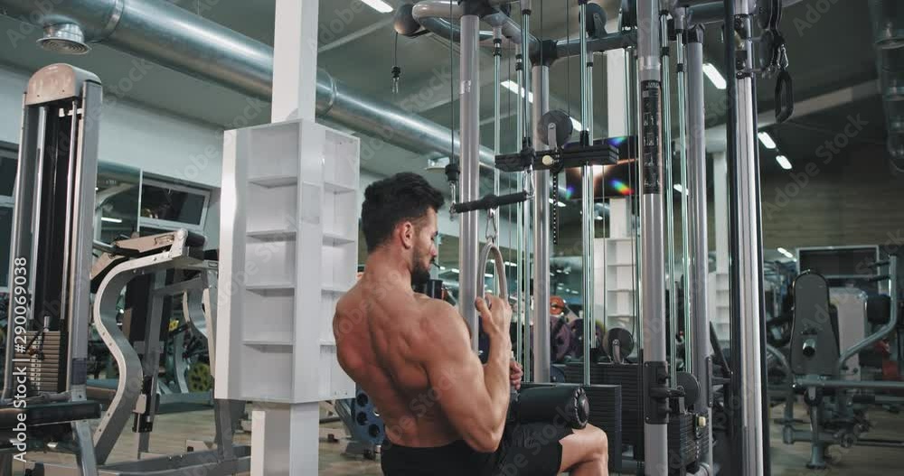 Good looking man lifting up the weights at gym for his biceps and triceps in a large spacious class Good looking man lifting up the weights at gym for his biceps and triceps in a large spacious class