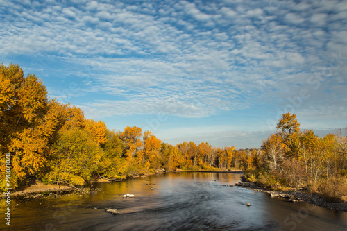 A view of the Boise river lined with colorful autumn trees photo