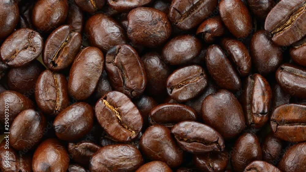 panning dry coffee beans panning dry coffee beans