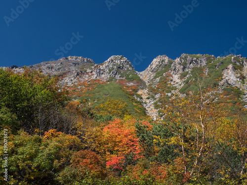 紅葉の山