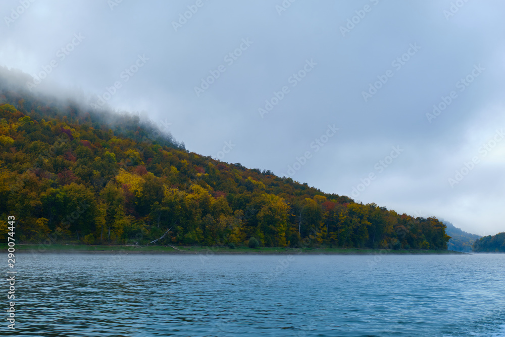 Autumn forest in the fog near the shores of lake Altai. Altai autumn