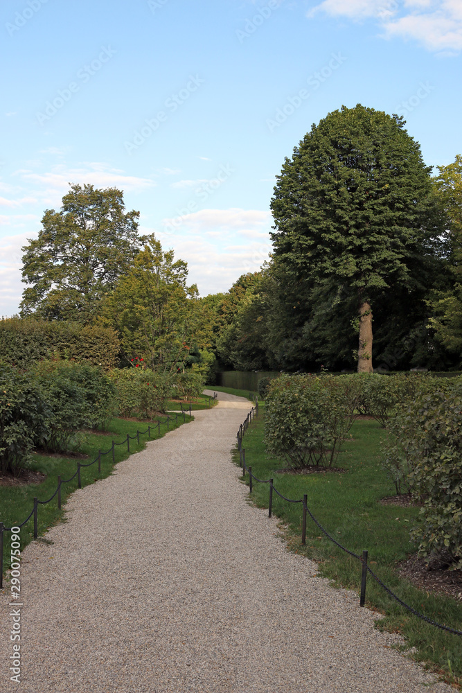 Path and trees beautiful park in Vienna Austria