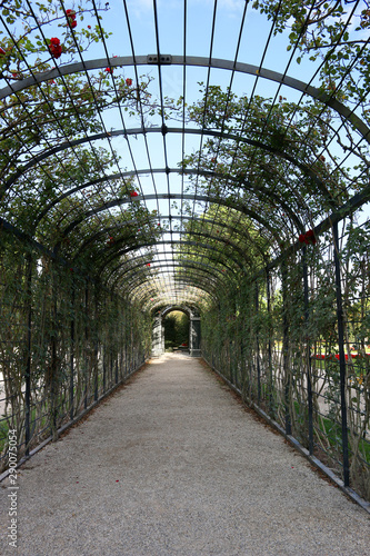 Passage ornate with roses flower arcs park in Vienna Austria