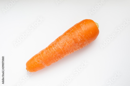 Carrot 人参