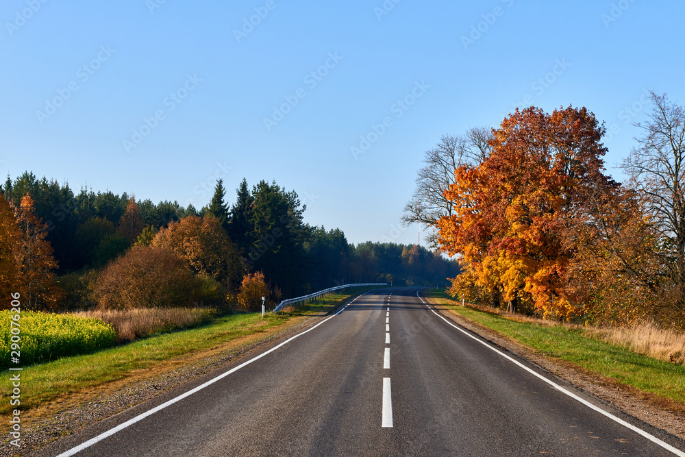 Paved road surrounded by trees during peak colors of Autumn. Paved road surrounded by trees during peak colors of Autumn.