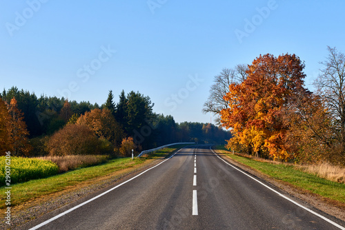 Paved road surrounded by trees during peak colors of Autumn. © Alvydas