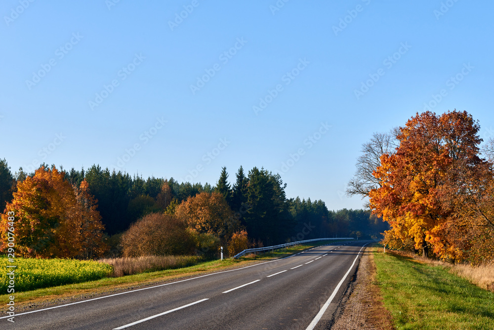 Paved road surrounded by trees during peak colors of Autumn. Paved road surrounded by trees during peak colors of Autumn.