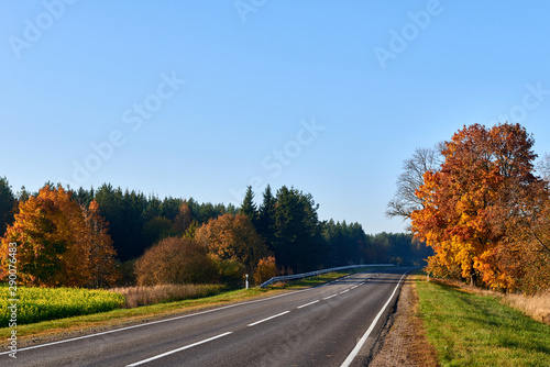 Paved road surrounded by trees during peak colors of Autumn.
