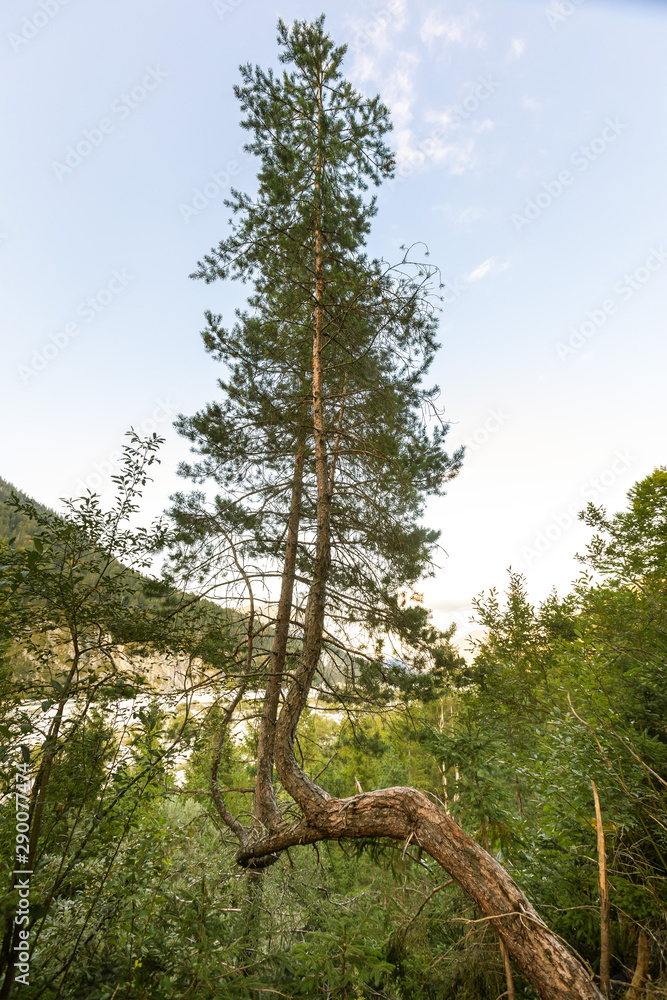 Fototapeta premium Vorderriß | Isar | Lenggries | Bayern | Bad Tölz
