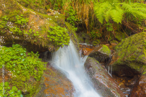 Belaustegui forest waterfall, in Alava, Basque Country