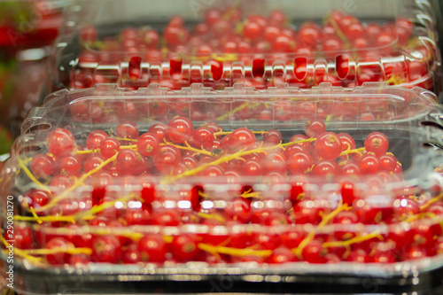 Red currants in plastic containers for sale. Fresh ripe juicy currant berries © OlgaKorica