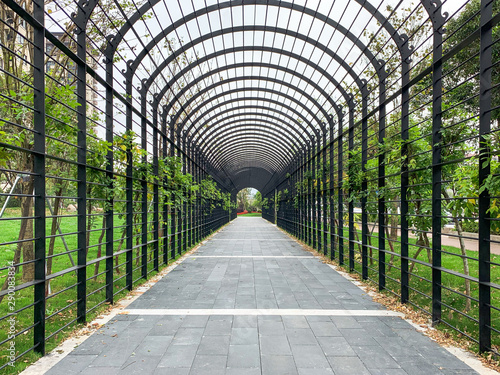 Walkway through tunnel filled with shrub and trees in a small street park