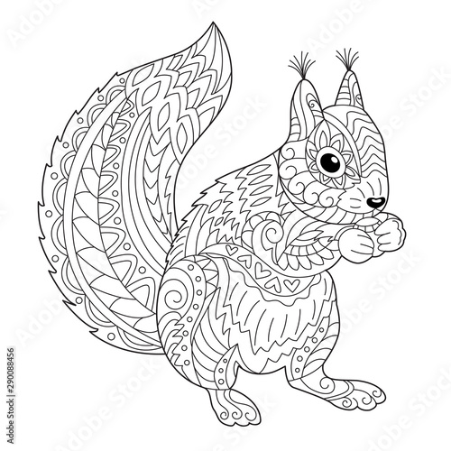 Cute squirrel coloring page for adult and children. Black and white vector illustration for coloring book design.