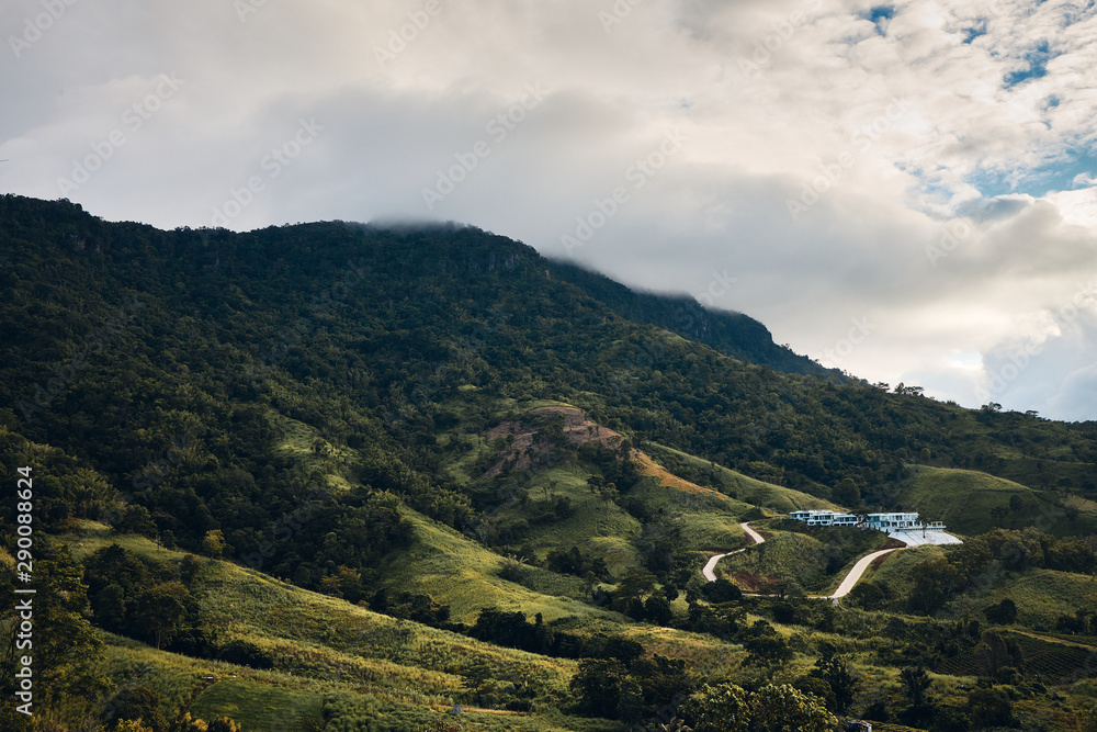 Fototapeta premium Mountain and forest with cloudy sky in Phetchabun, Thailand.
