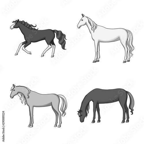 Isolated object of farm and riding logo. Set of farm and equestrian vector icon for stock.