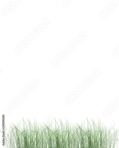 Meadow on a white background