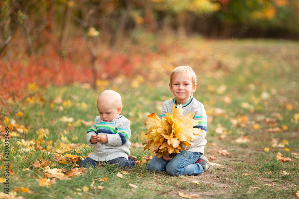 Happy little boys with autumn leaves in the park Happy little boys with autumn leaves in the park