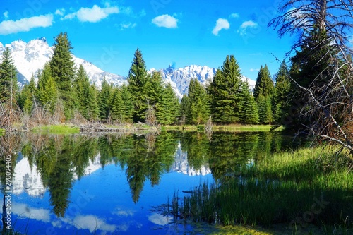 lake in forest