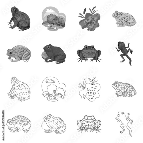 Vector illustration of wildlife and bog symbol. Set of wildlife and reptile stock symbol for web. © Svitlana