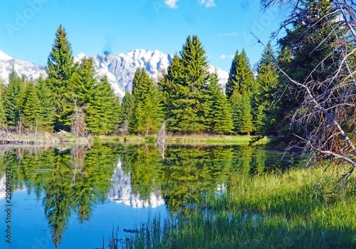 lake in the forest