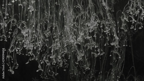 A veil of white ambient natural smoke filling out the black background.