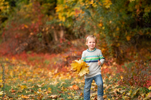 Happy little boy with autumn leaves in the park