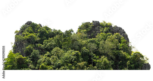 rock mountain hill with green forest isolate on white background