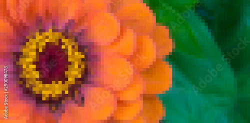 Flower background. Pixel ar...