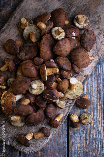 Top vie od fresh wild mushrooms on a wooden background.