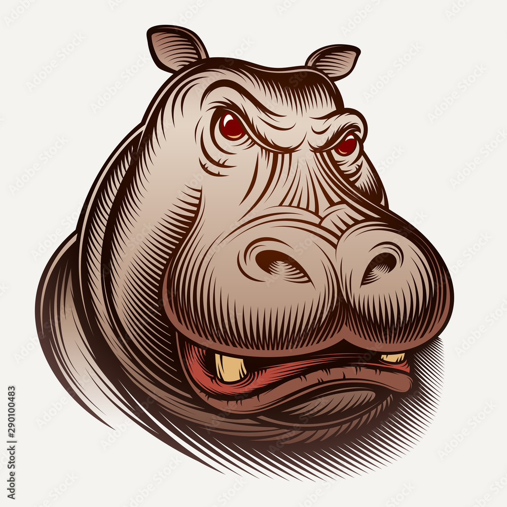 Head of an animal hippo. Big isolated face muzzle of aggressive