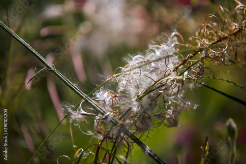 Herbst in Deutschland
