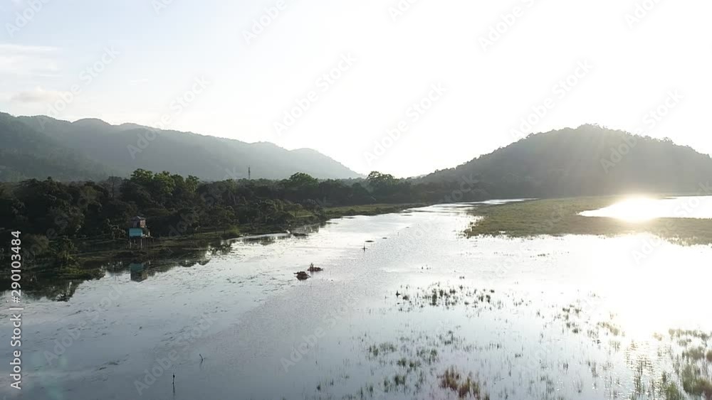 Tranquility scene, tropical landscape sunny river and rainforest, Aerial backward dolly Tranquility scene, tropical landscape sunny river and rainforest, Aerial backward dolly