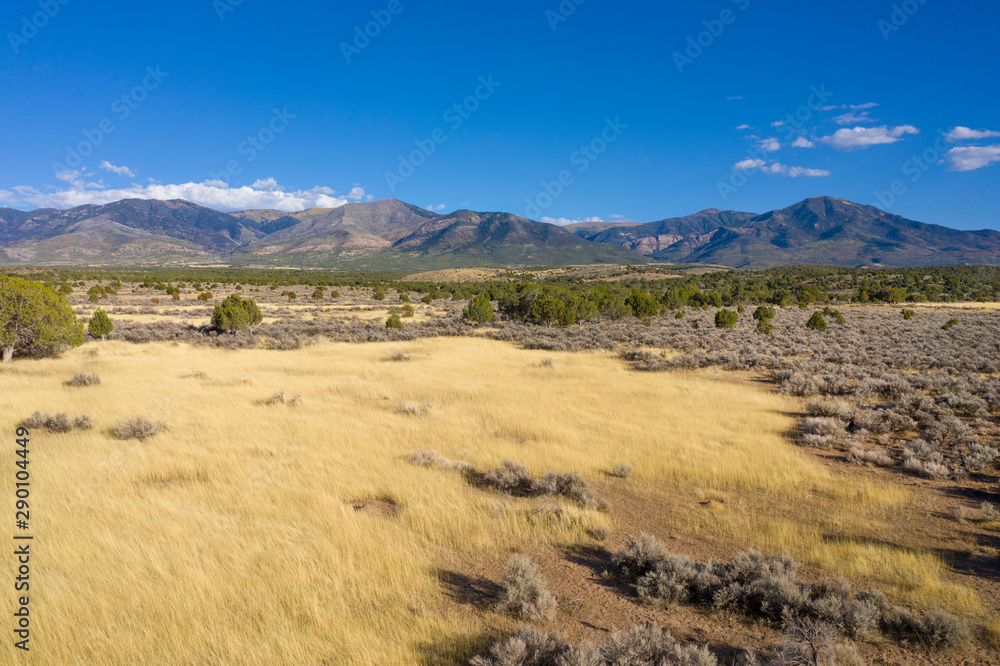 Nature - Mixed Desert Environment