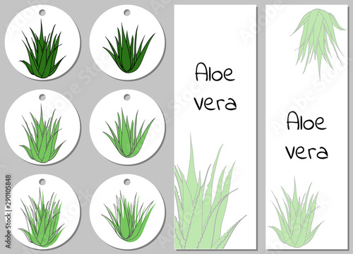 Round sticker, vertical banner template with aloe vera plants. Vector illustration with green stains on white background