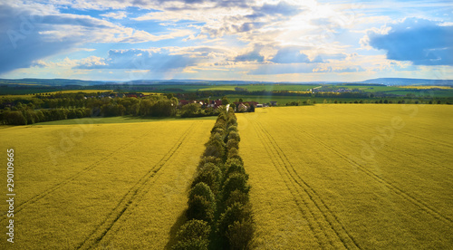 rural road in the field