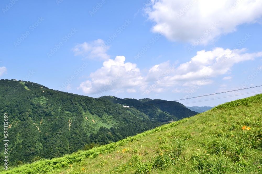 Naklejka premium 夏の湯沢高原