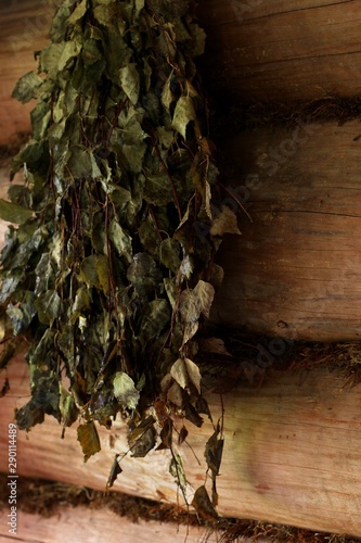 Dry old birch broom hanging on the wall in the bath as interior detail in Russian rustic wooden bathhouse. Relax, country, village, bath concept.