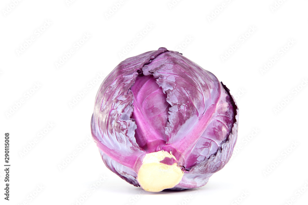 Fresh red cabbage isolated on white background Fresh red cabbage isolated on white background