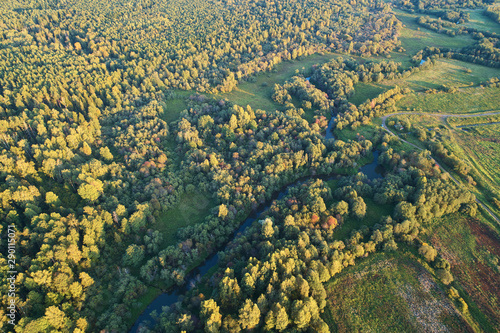 Forest with a winding river at sunset. Aerial photography with a drone.