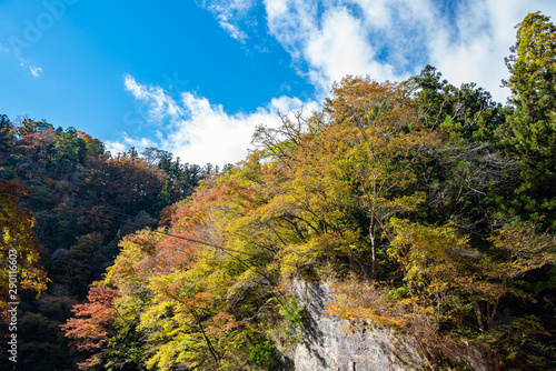 Geibi Gorge ( Geibikei ) Autumn foliage scenery view in sunny day. Beautiful landscapes of magnificent fall colours in Ichinoseki, Iwate Prefecture, Japan