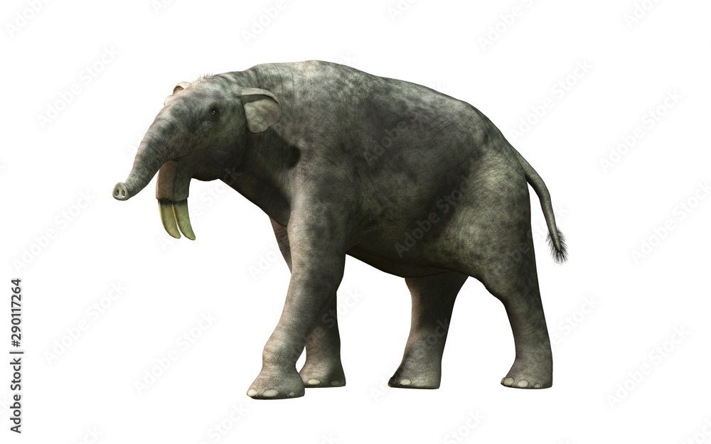 The hoe tusker, or Deinotherium (