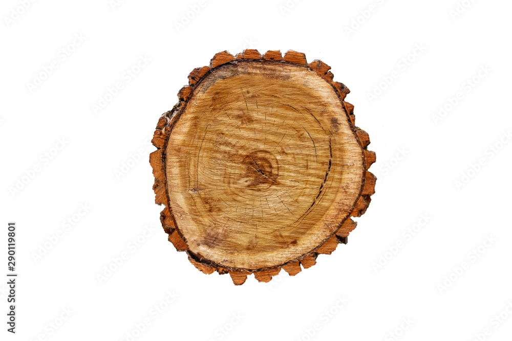 Isolated wood cut on a white background