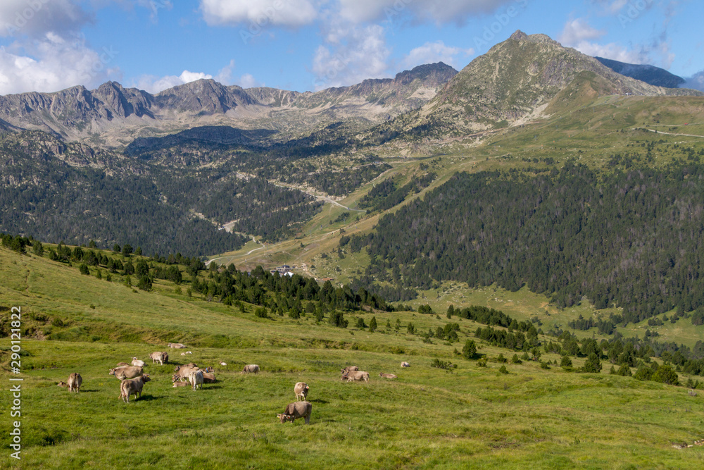 Fototapeta premium Andora, Pas de la Casa (Pireneje)