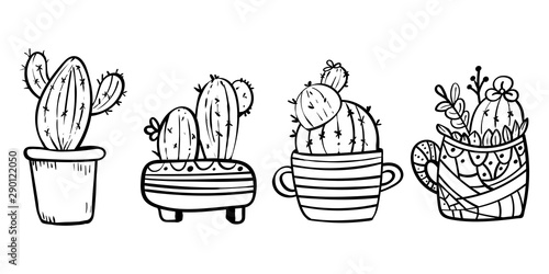 Cacti blooming with spikes. Coloring page for children and adults. - Vector. Vector illustration