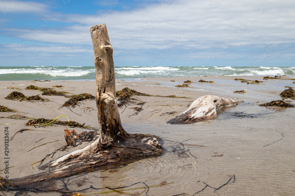 An der Ostsee An der Ostsee