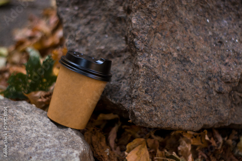 Disposable paper cup with plastic beverage lid among fallen, autumn, yellowed foliage and stones.